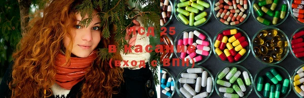 2c-b Алзамай