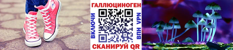 закладка  Злынка  Галлюциногенные грибы Magic Shrooms 